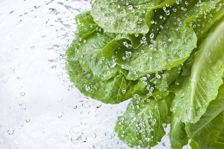 Romaine Lettuce Wraps with Sweet Cherry Salsa